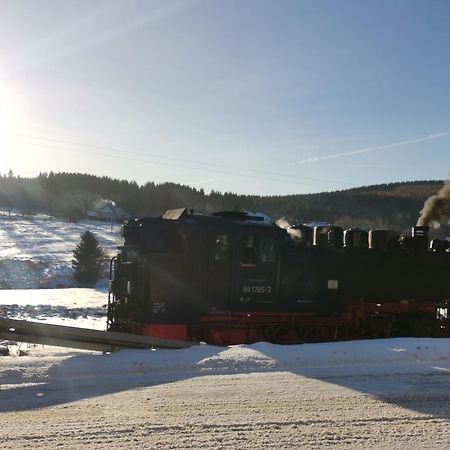 Ferienwohnung Bimmelbahn Blick Курорт Обервизенталь Экстерьер фото
