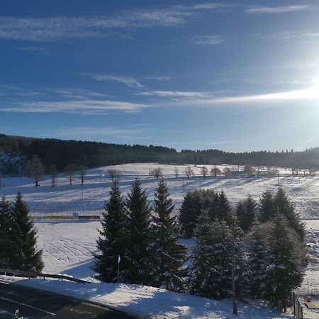 Ferienwohnung Bimmelbahn Blick Курорт Обервизенталь Экстерьер фото